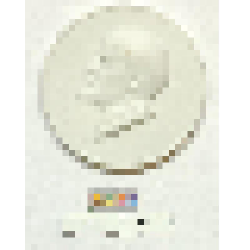 СССР. Медальон с портретом В.И. Ленина