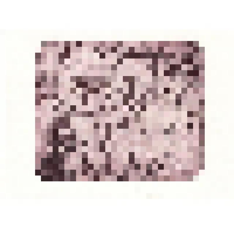 Экслибрис "Ex libris Г. Шерер"