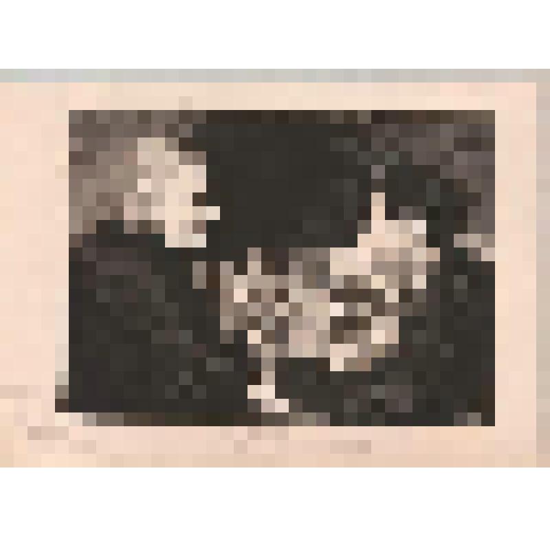 Линогравюра. Беседа друзей Ивана Павлова и Алексея Суркова