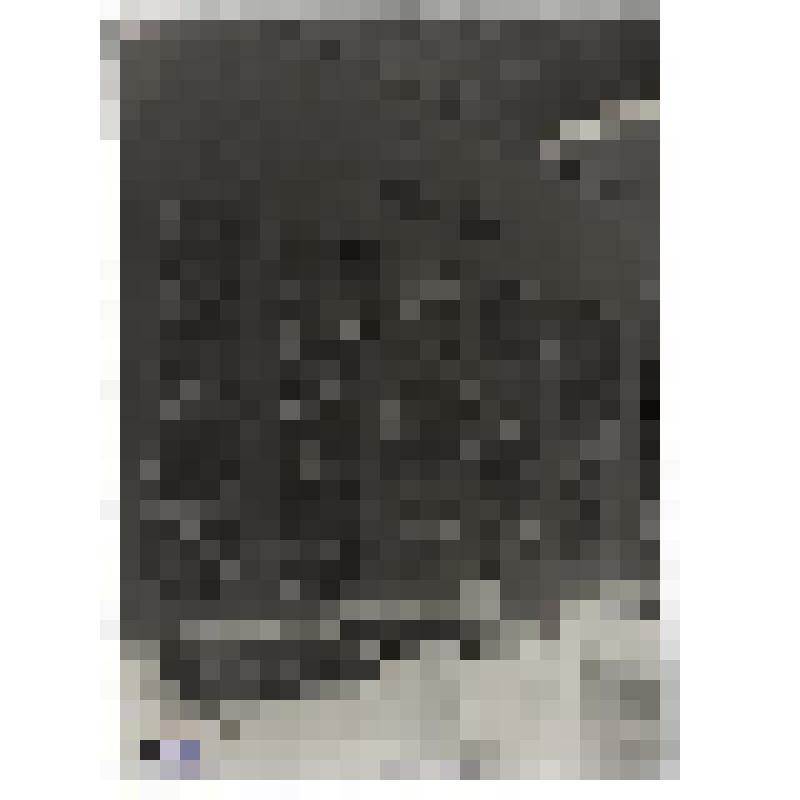 Выставка фондов Государственного литературного музея, посвященная 20-летию Великой Октябрьской социалистической революции)