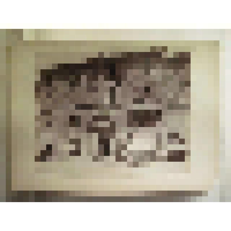 Палаццио дель Капитано дель Пополо. 1472 г. Италия. Перуджа. Палаццио дель Капитано дель Пополо. Общ. вид. Изд. Алинари