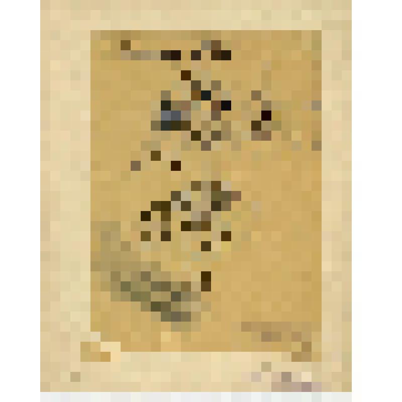 Эскиз мужского костюма (копия для бутафоров). "Даита". Конюс Г.; 1896, балетм. Мендес И., худ. Вальц К.Ф