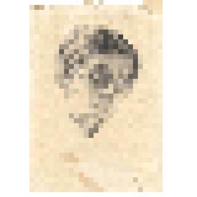 Гравюра. Женский портрет