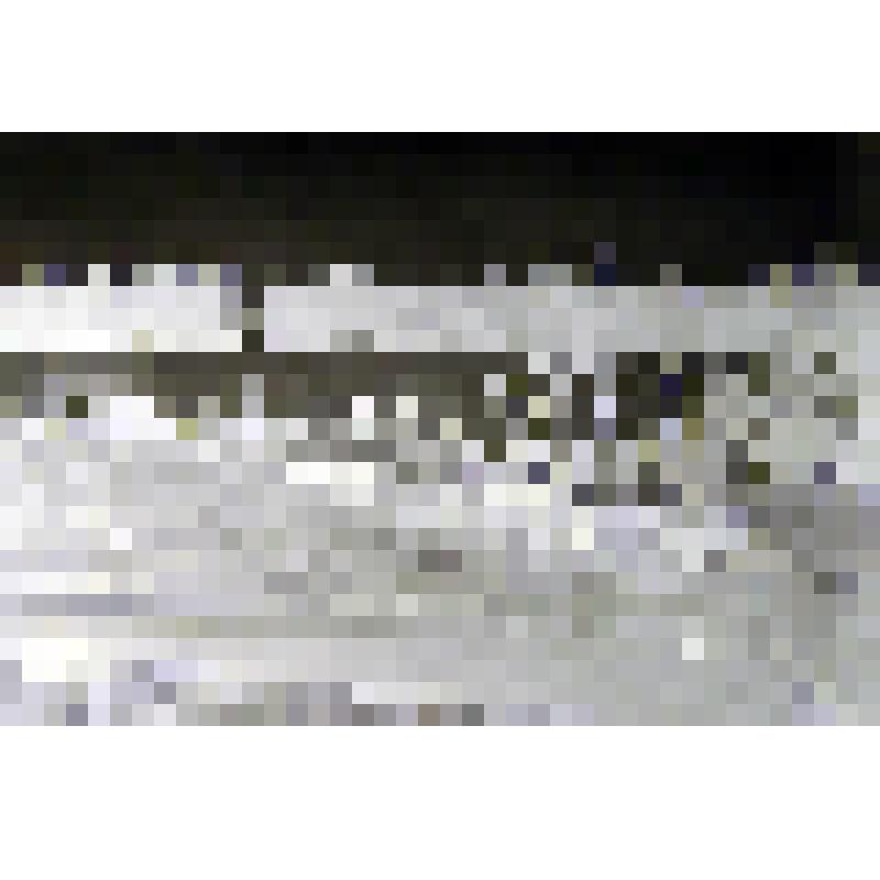 Негатив. Мотоциклы с портретами передовиков производства на празднике 50-летия советского калия