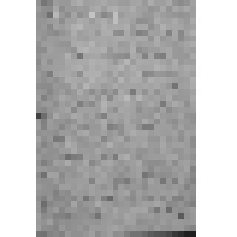 ДОНЕСЕНИЕ КОМИССАРА УВПС-25 БАТ.КОМИССАРУ КАМАЛОВУ А. О НАЛЕТЕ НЕМЕЦКОЙ АВИАЦИИ НА СЕЛО ОРЛОВКА В РАЙОНЕ СТАЛИНГРАДА. 28 АВГУСТА 1942г.  ДОКУМЕНТ НАПИСАН КАРАНДАШОМ В ПОЛЕВЫХ УСЛОВИЯХ, ЗАВЕРЕН ПЕЧАТЬЮ