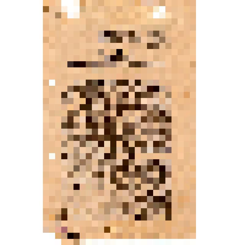 Manifest: (на нем. яз?)