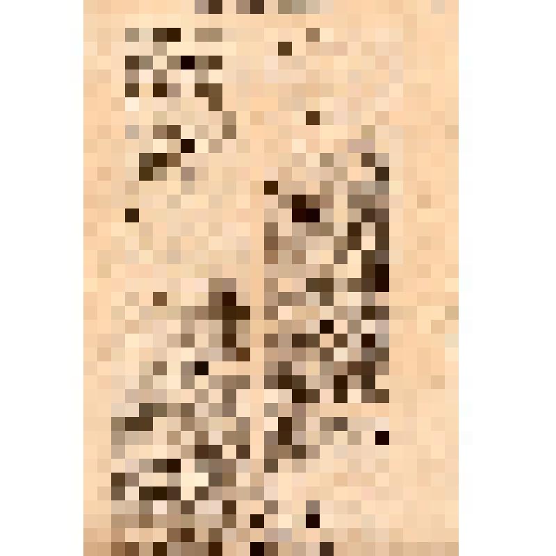 /Эстляндский центральный комитет компартии/ /Эстонсокому пролетариату:/ (на эст. яз.)