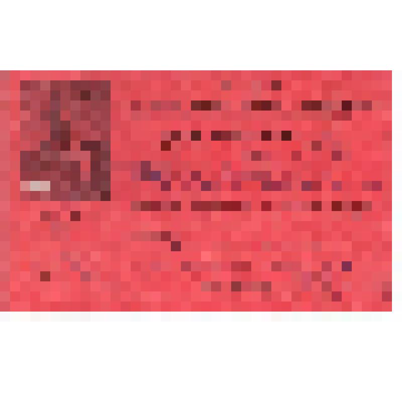 Делегатский билет Загуменных М.М. на уральский областной съезд советов