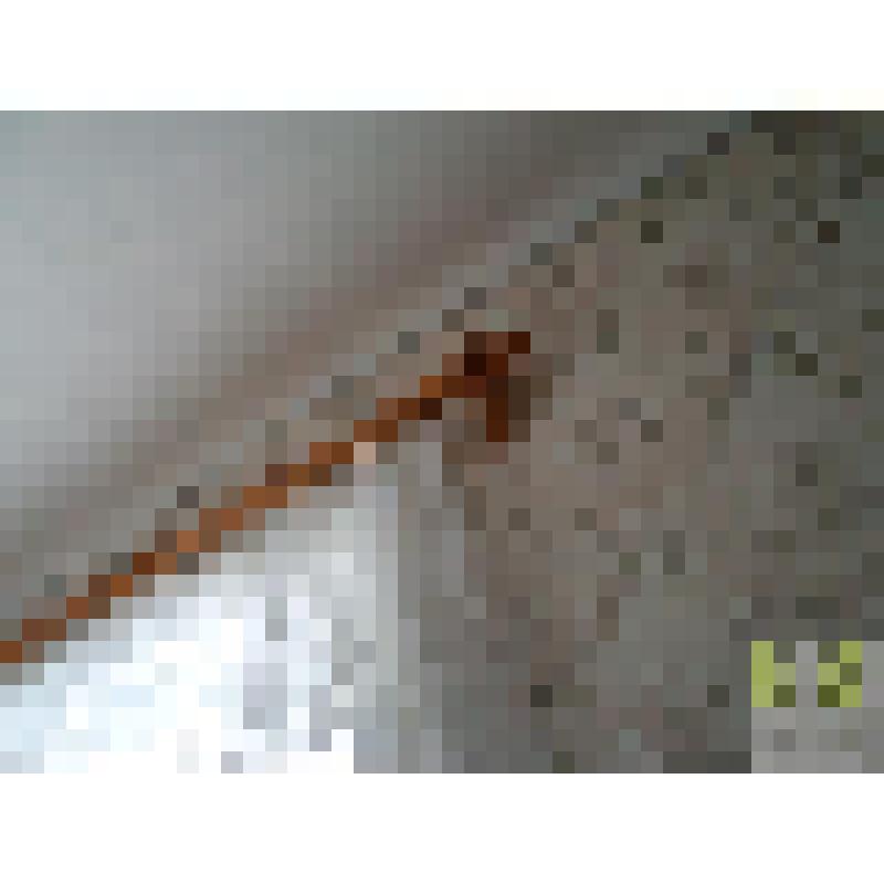 Карниз