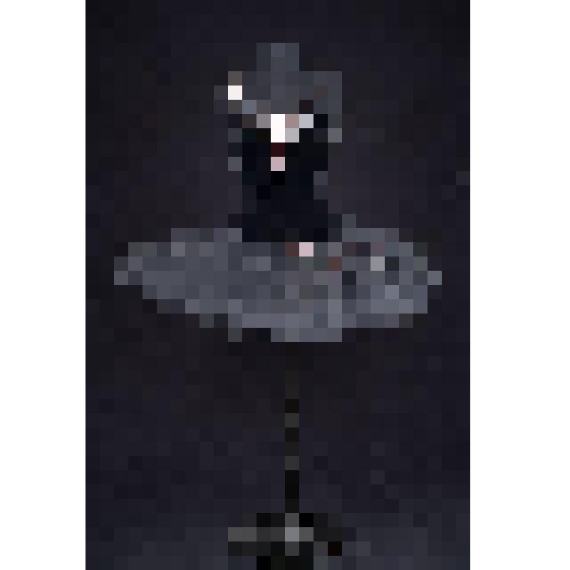 Костюм Е.С. Максимовой к партии Одилии. Пачка (концертный номер). "Лебединое озеро". Чайковский П.; 1969, балетм. Григорович Ю.Н., Горский А.А., Иванов Л.И., Петипа М.И., худ. Вирсаладзе С.Б