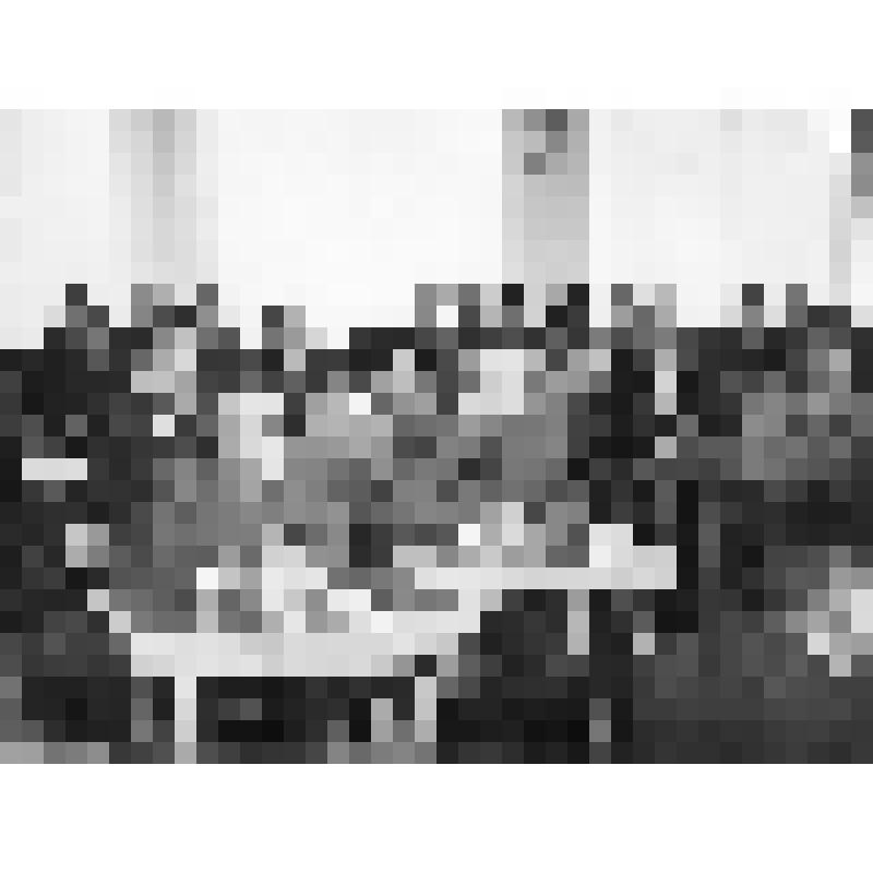 Фото Венгерская делегация туристов в Кузнецке