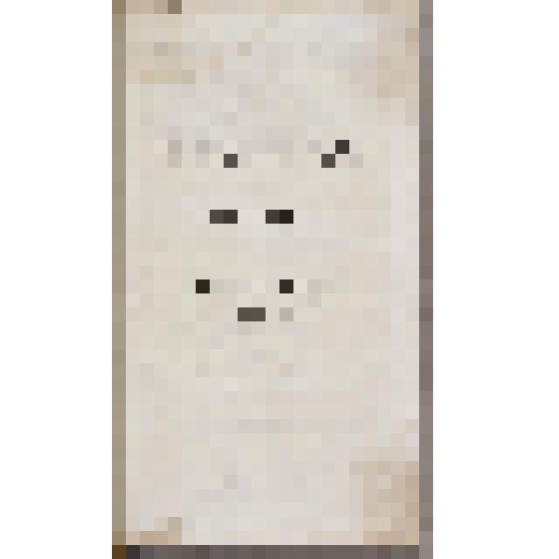 Книга. Conversations-Lexikon der Gegenwart. In vier Banden. Dritter  Band