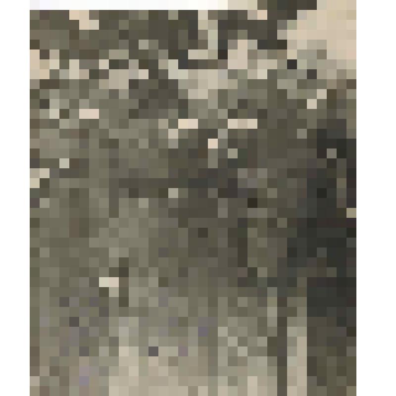 Фотография. Ворошилов К.С., Гамарник Я.Б., Тухачевский М.Н., Урицкий С.П.,  Егоров С.В