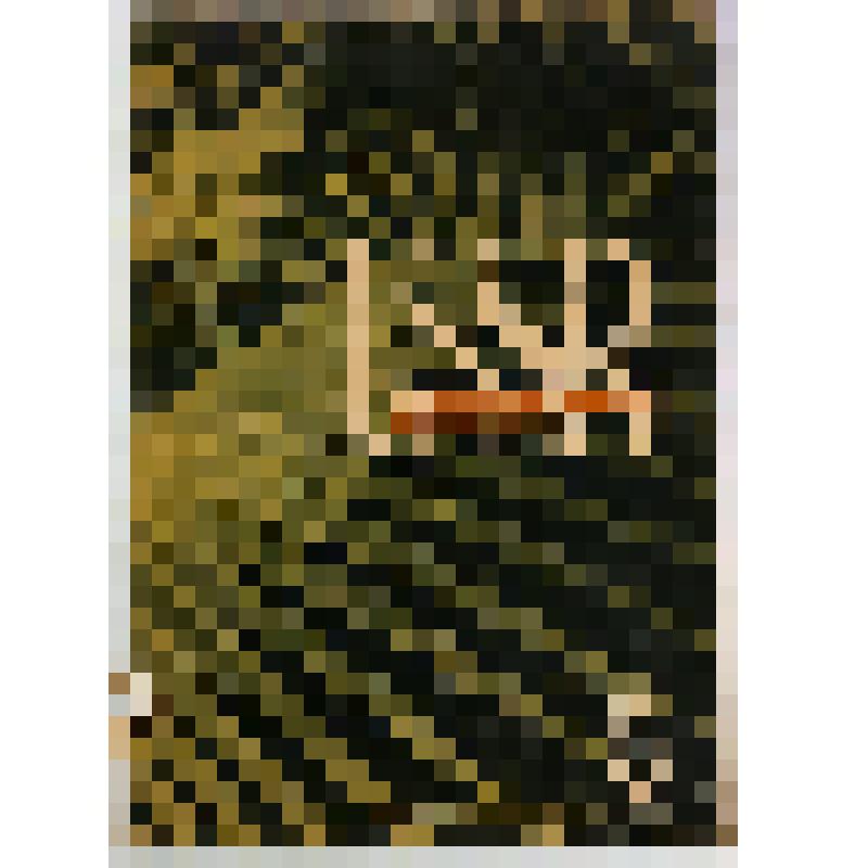 Журнал "СССР на стройке" № 5. 1933 г