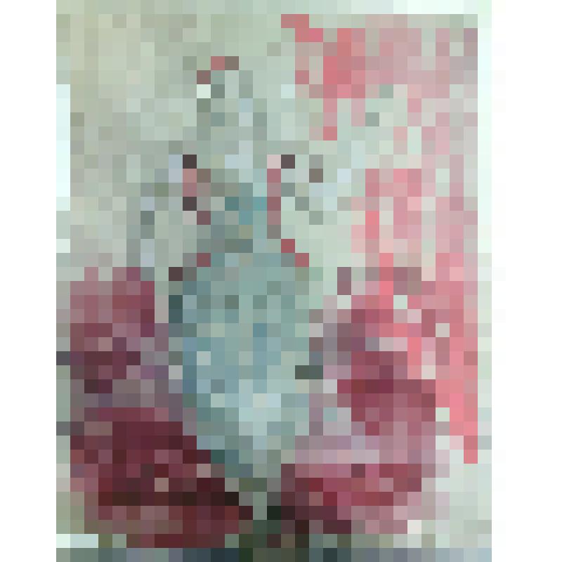 Эскиз женского костюма. Шемаханская царица.
С.И. Иванов оформлял 1 и 3 акт этого спектакля. 2 акт - М.С. Сарьян. "Золотой петушок" (Постановка К.С. Станиславский). Москва, Государственный оперный театр имени К. С. Станиславского