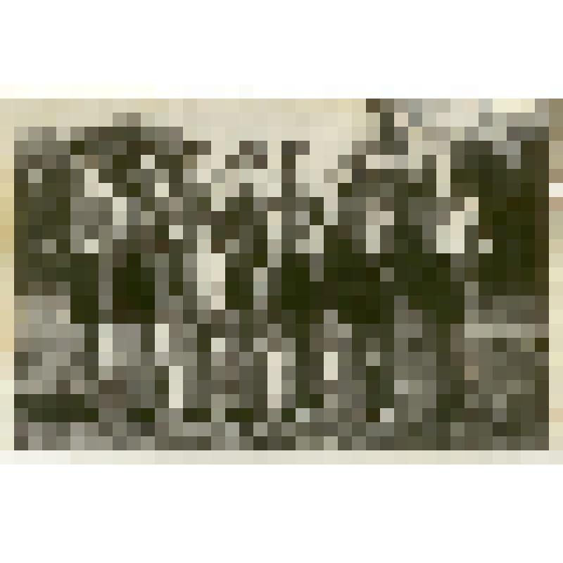 Фотография. Команда легкоатлетов детской спортивной школы  городского отдела народного образования