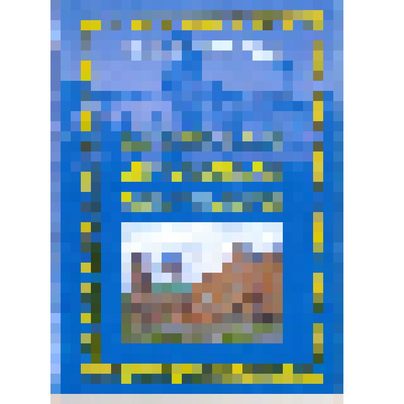 Брошюра. Барнаульская духовная семинария: история становления