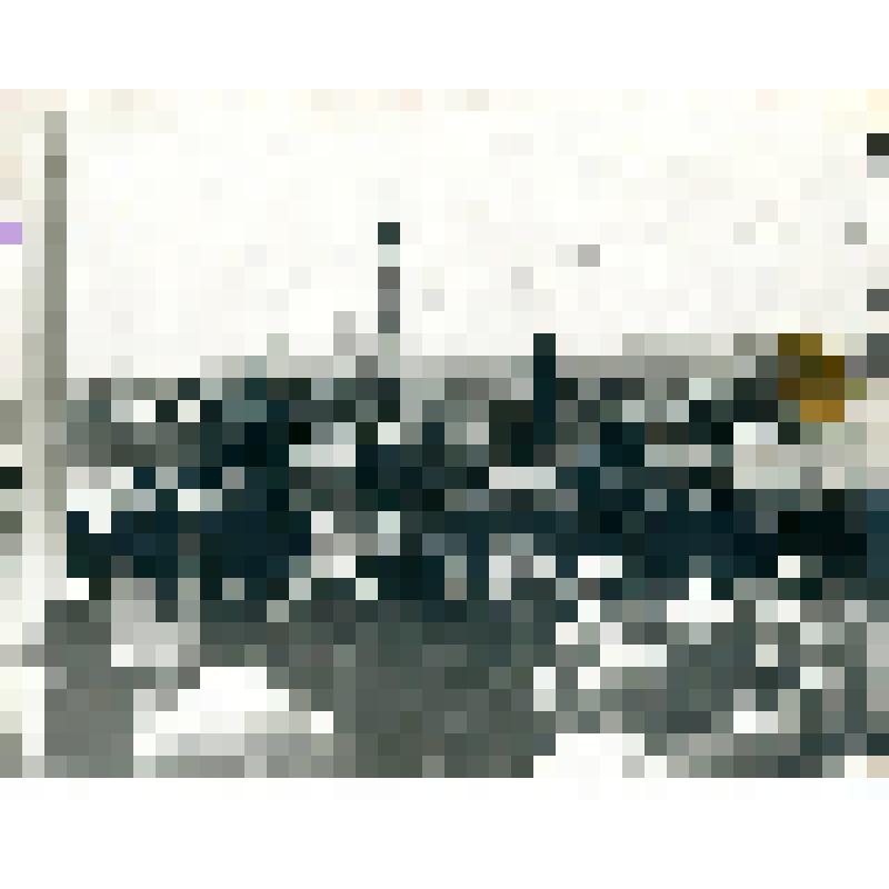 Фотография. Город Якутск. Пристань