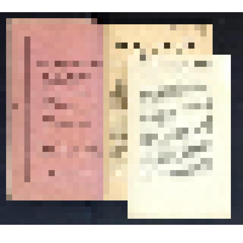 Журнал. Nuva Mondo [Text] : Internaciona ed Interreligyal; revuo (en Nuv-esperanto). Mayo (Yarabono (12 Numeri)) / P.-J. Barral. - Berlin : Oficeyo, 1910. - 16, 16 p. Обложка издательская