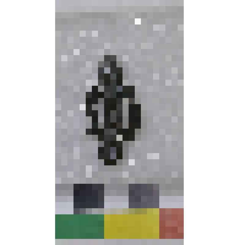 Обойма поясная односторонняя с изображением противопоставленных голов сайгаков