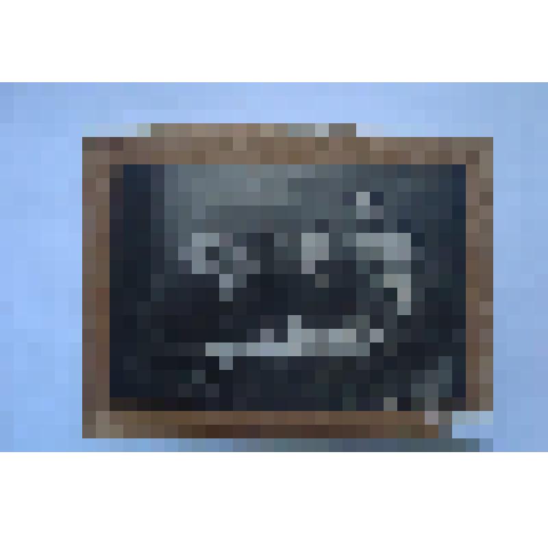 Фотография. На снимке 5 человек. Махмут Мухаметкулов,  брат А.Б. Мухаметкулова (по середине) в окружении коллег