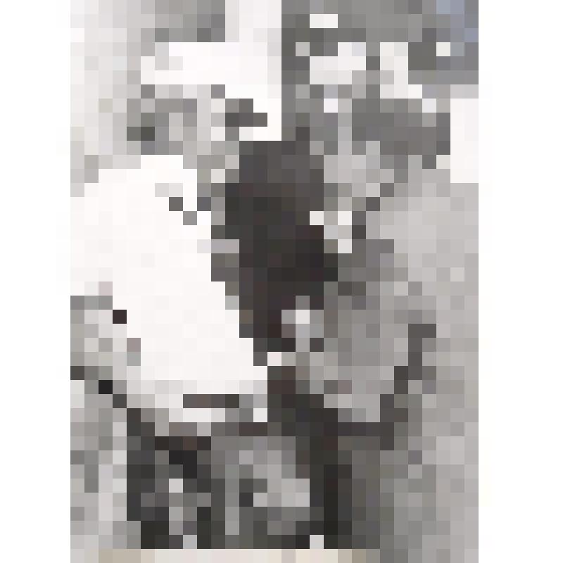 Фотография: корреспондент Костюра Б.Я. на встрече с дикторами московского телевидения