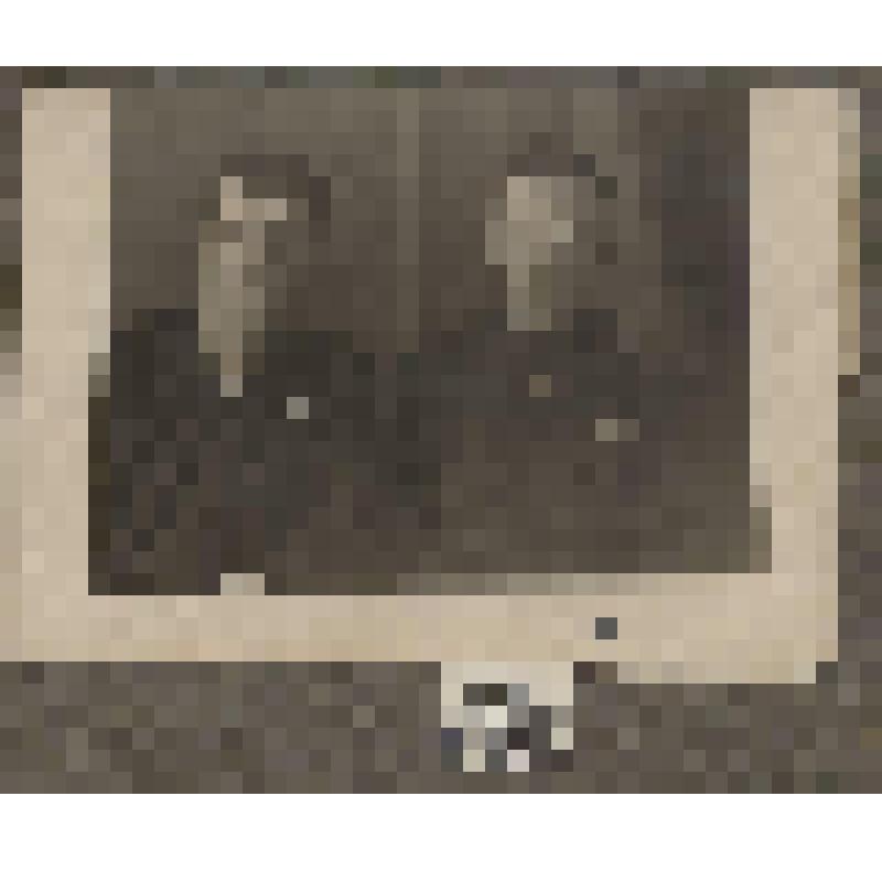 Фотография. Кустовский Флегонт Александрович с товарищем