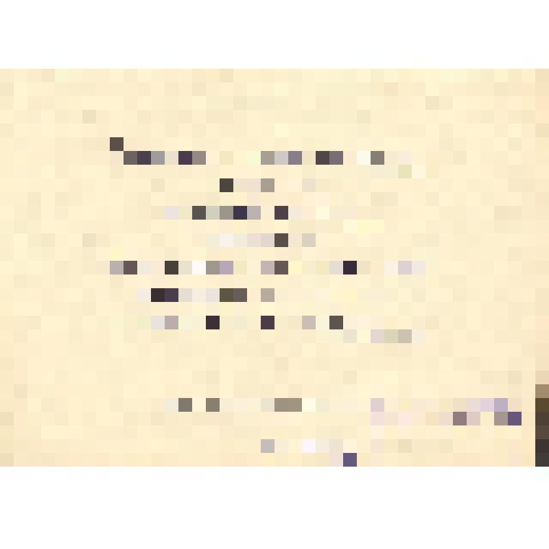 Пригласительный билет на музыкальное собрание, посвященное 59-й годовщине со дня смерти П.И. Чайковского