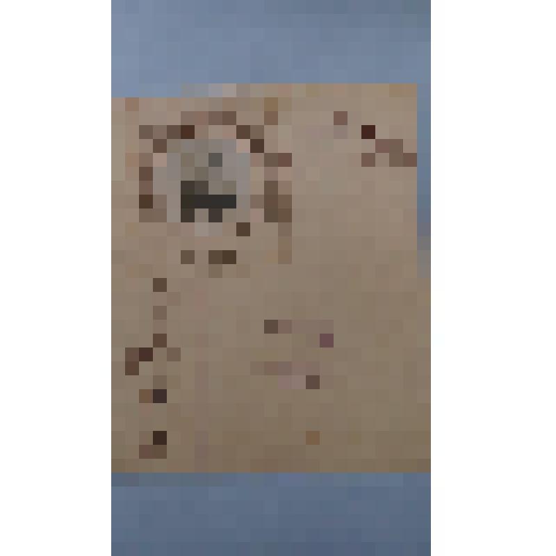 Сочинение Ирины Меркурьевой