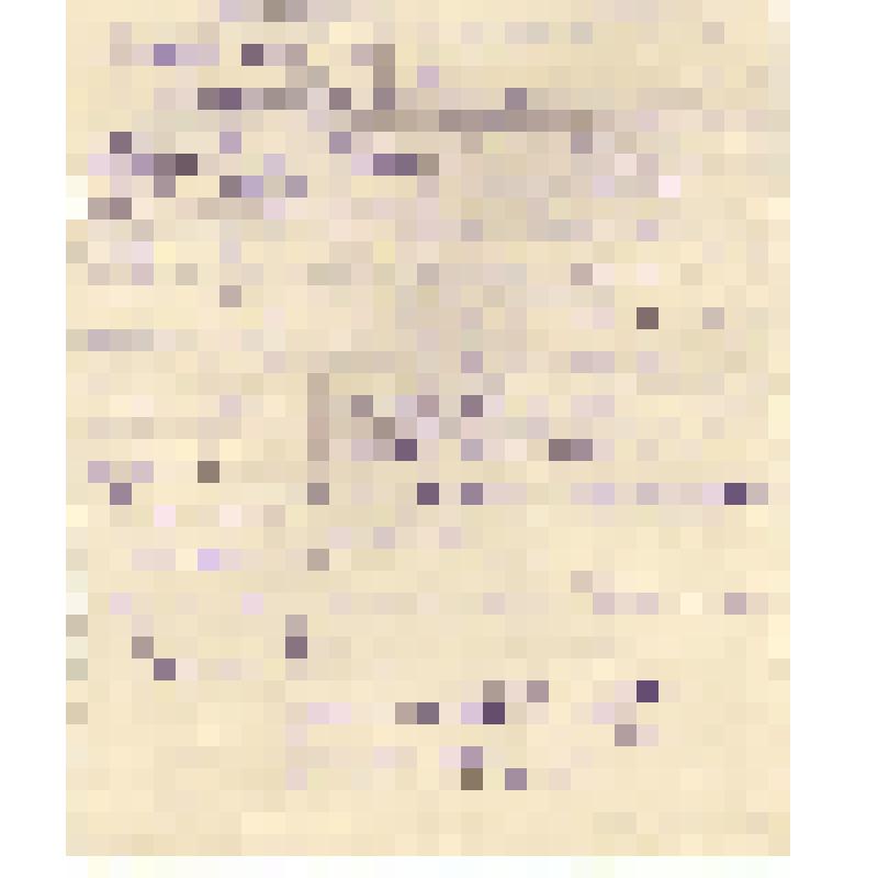 справка. Справка о заработке в 1954-1958 гг. выдана Мешалкиной Г.Т. - члену колхоза "Заветы Ильича" Бейского района