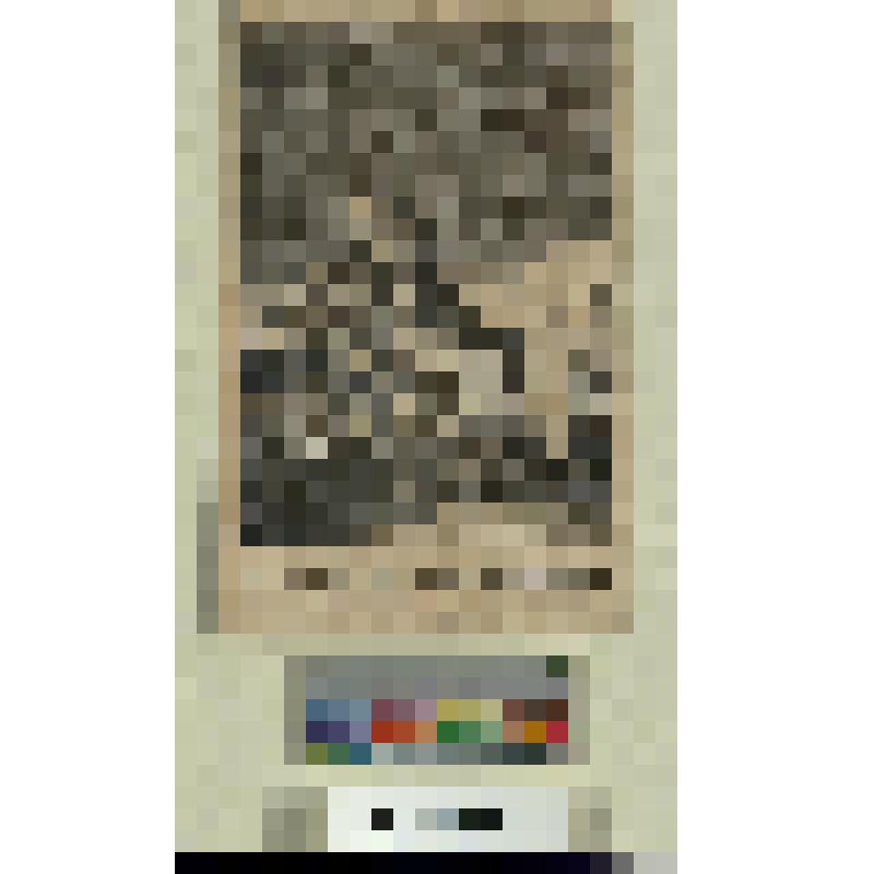 Историческая сцена. Мария Антуанетта в тюрьме