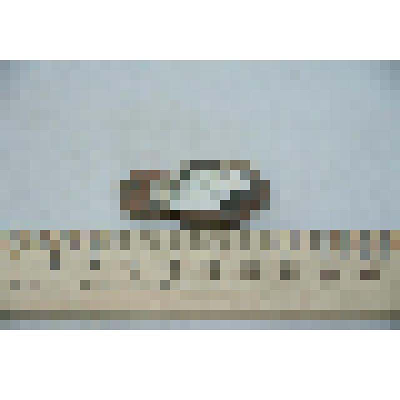 Фрагмент стенки сосуда