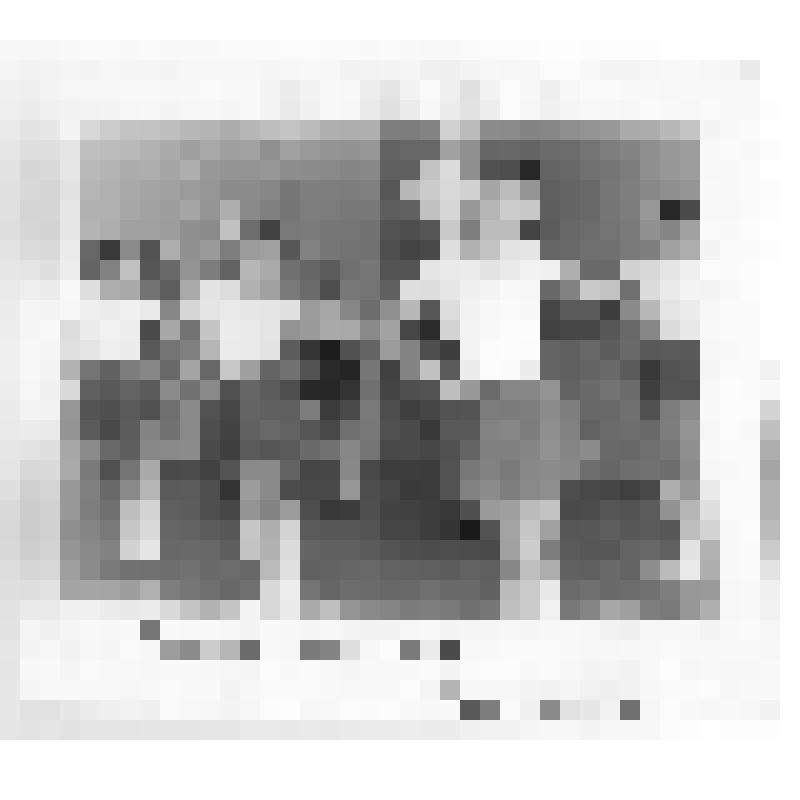 Фотография. Аэробику любят дети