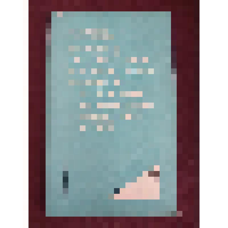 книга. Манин В.М. Порядок организации и проведения выборов районных городских народных судов