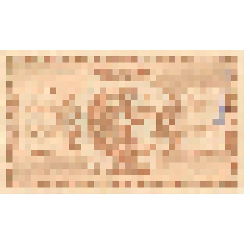 Билет временный кредитный Туркестанского края. 1 рубль