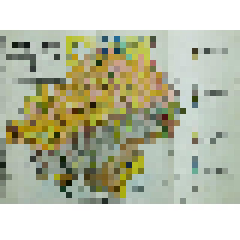 Книга. «Полная энциклопедия русского сельского хозяйства и соприкасающихся с ним наук» том II   Лит. Воск – Дом помещичий.  
Общий редактор профессор А.Ф. Рудзкий. 
С.-Петербург, 1900 г.
С.-Петербург. Издание А.Ф. Девриена. 1900. 
Типография Императорской