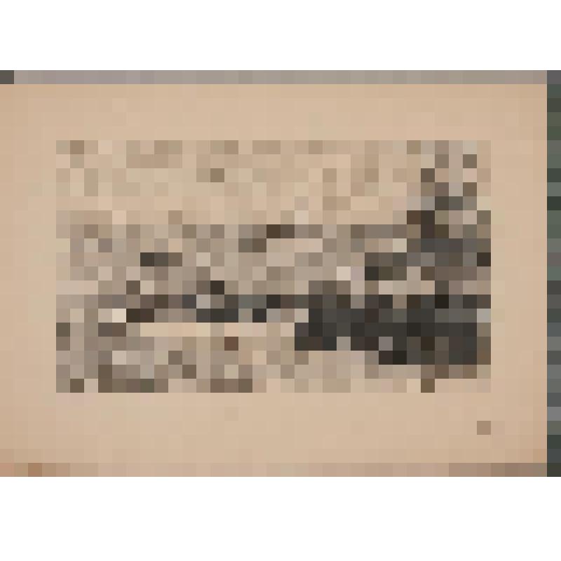 Эстамп. Переправа