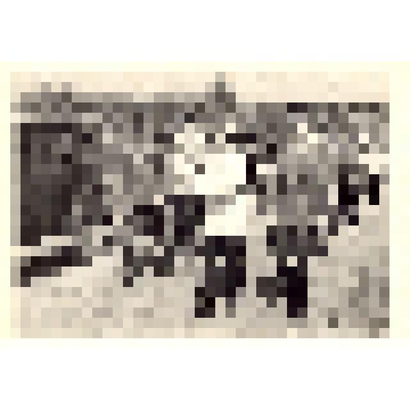 Комплект открыток. Семён Михайлович Буденный