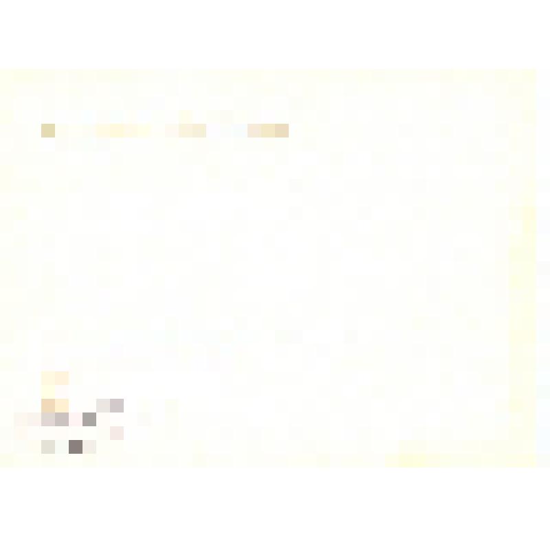 Комплект открыток. Семён Михайлович Буденный