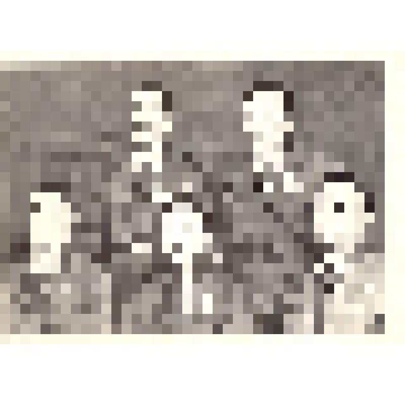 Комплект открыток. Семён Михайлович Буденный