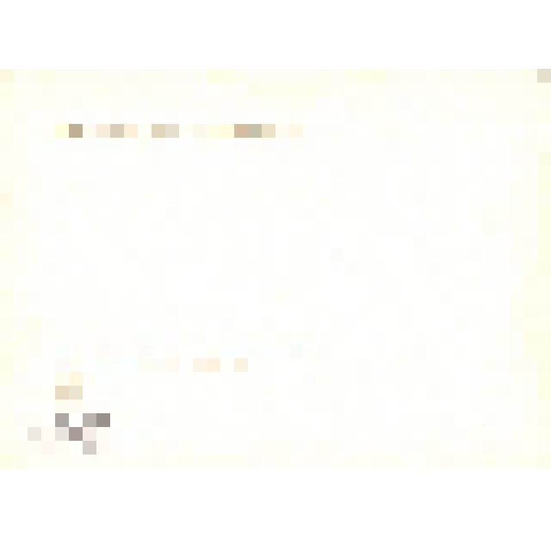 Комплект открыток. Семён Михайлович Буденный