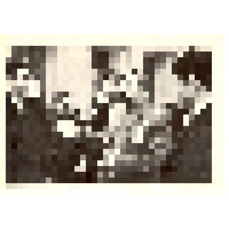 Комплект открыток. Семён Михайлович Буденный