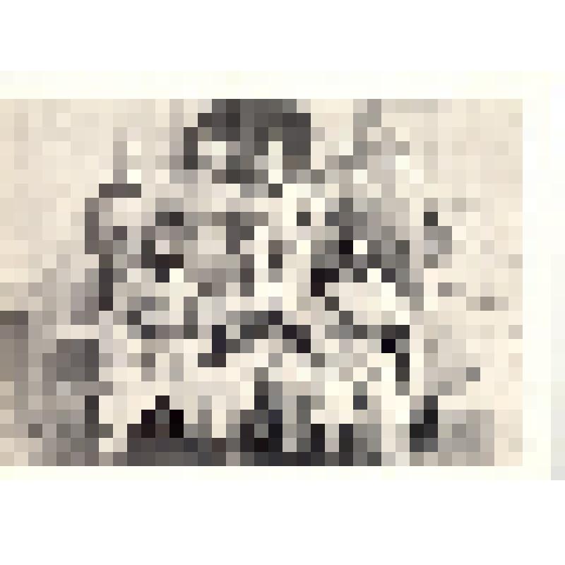 Комплект открыток. Семён Михайлович Буденный