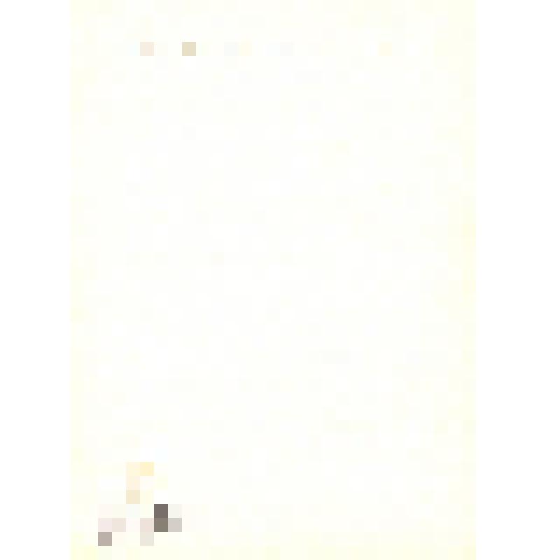 Комплект открыток. Семён Михайлович Буденный