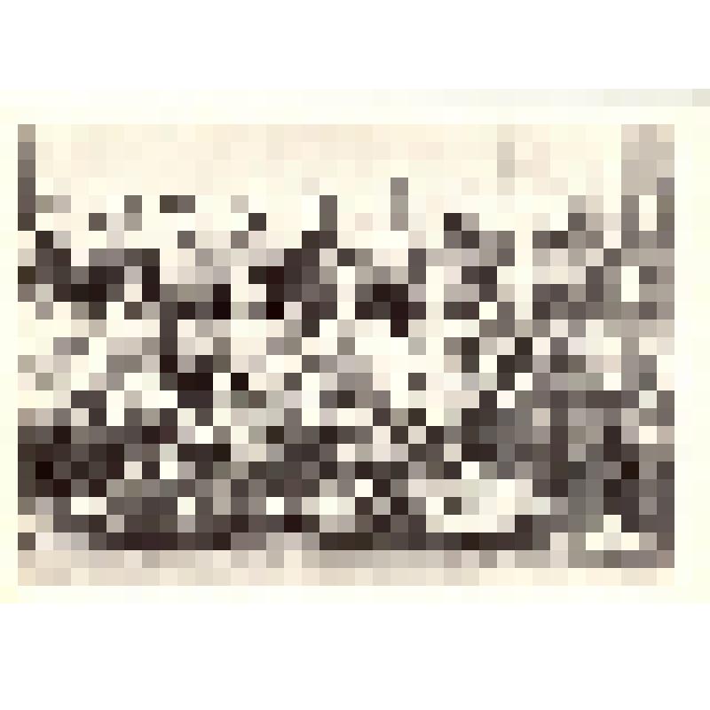 Комплект открыток. Семён Михайлович Буденный