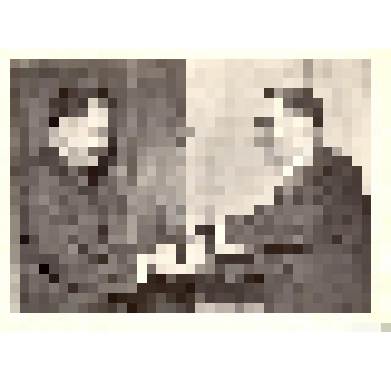 Комплект открыток. Семён Михайлович Буденный