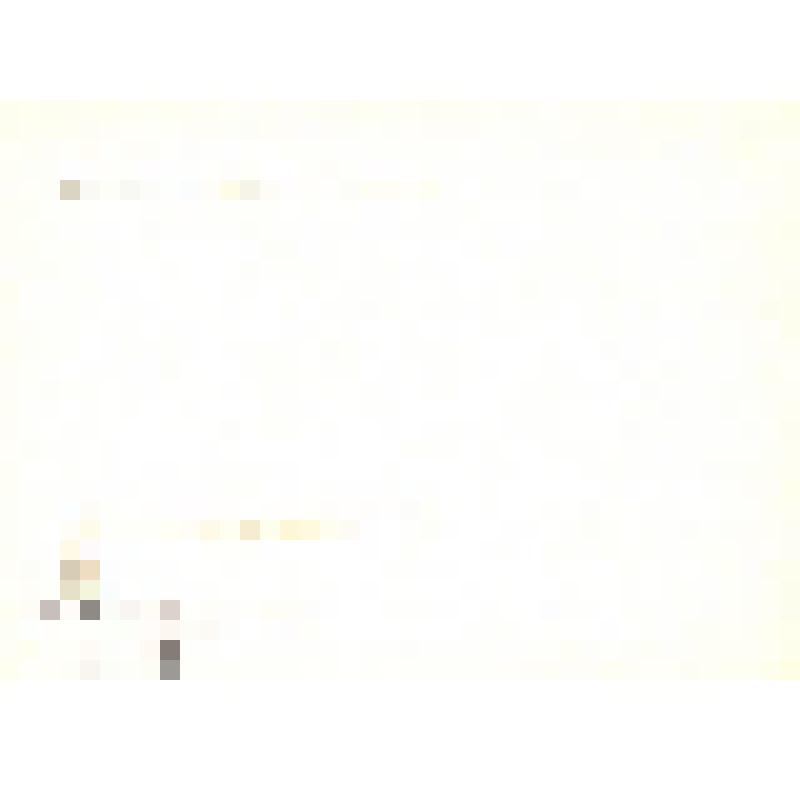 Комплект открыток. Семён Михайлович Буденный