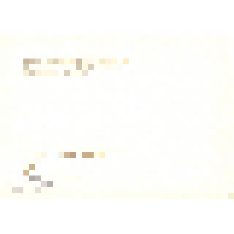 Комплект открыток. Семён Михайлович Буденный