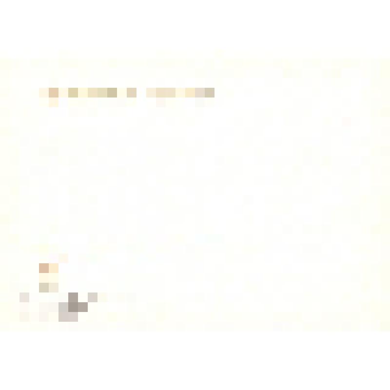 Комплект открыток. Семён Михайлович Буденный