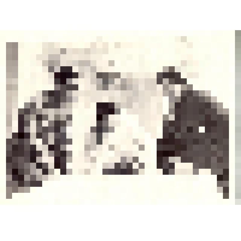 Комплект открыток. Семён Михайлович Буденный